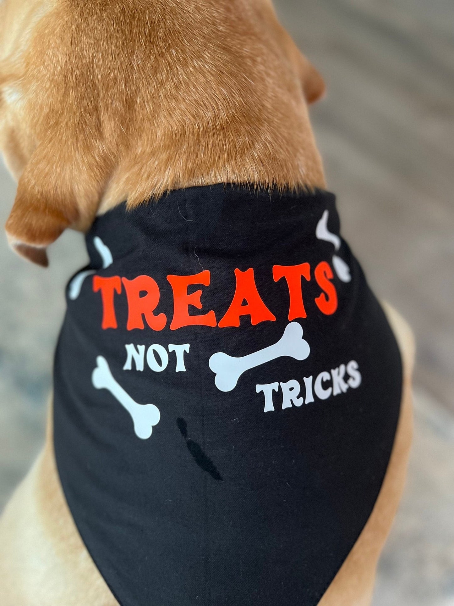 Glow in the dark dog Halloween bandana | Trick or Treat Dog Bandana | Dog Costume for Halloween - ChambrayandSandCustomGifts