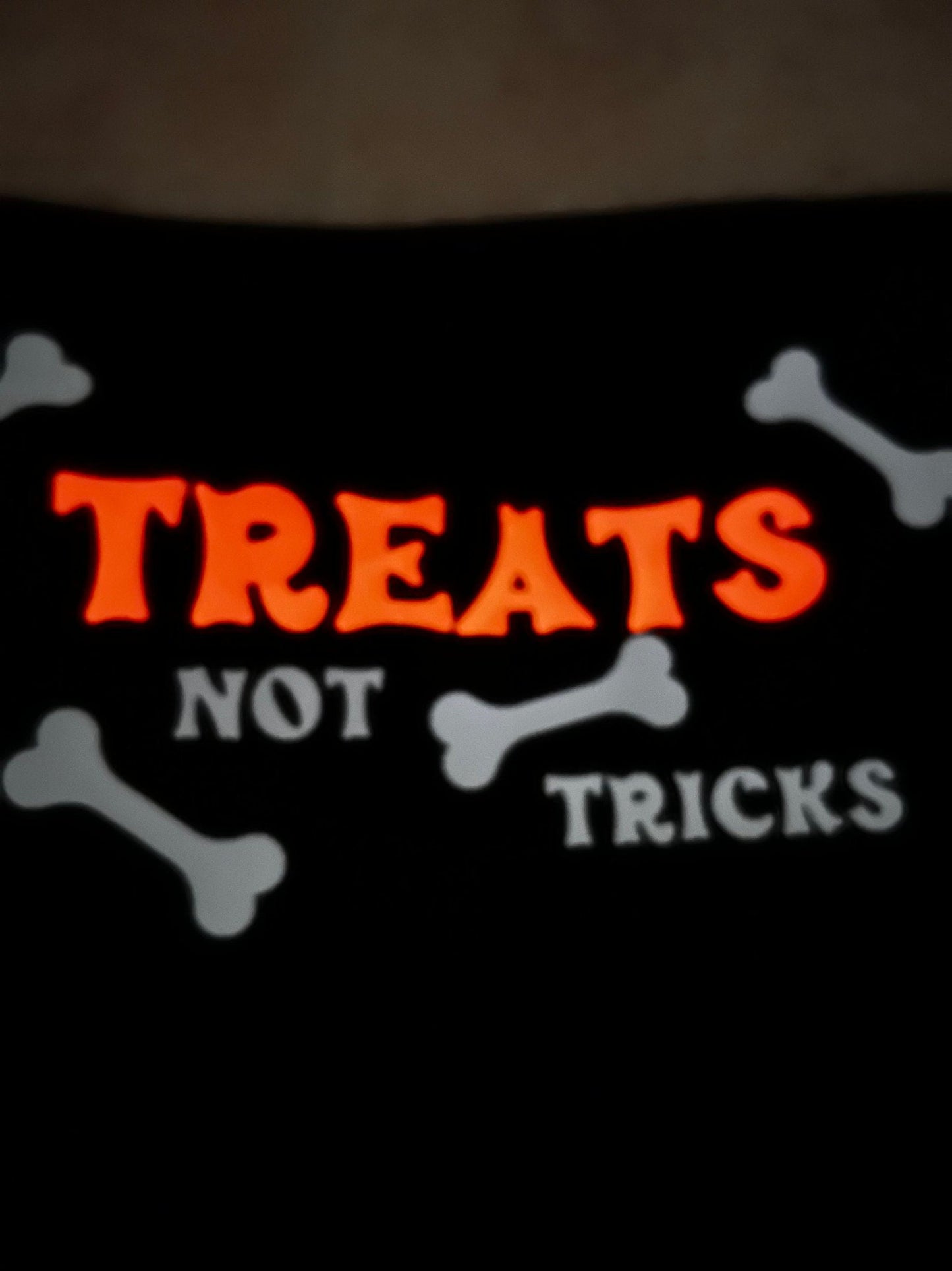 Glow in the dark dog Halloween bandana | Trick or Treat Dog Bandana | Dog Costume for Halloween - ChambrayandSandCustomGifts