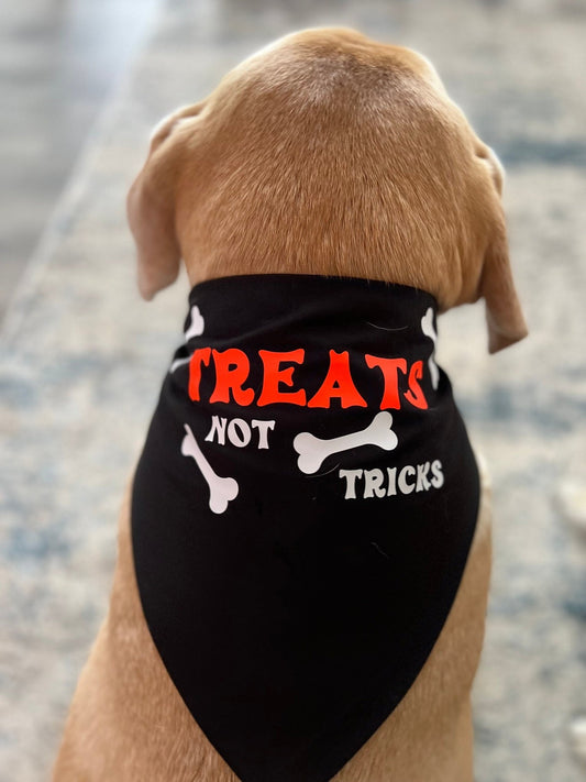 Glow in the dark dog Halloween bandana | Trick or Treat Dog Bandana | Dog Costume for Halloween - ChambrayandSandCustomGifts